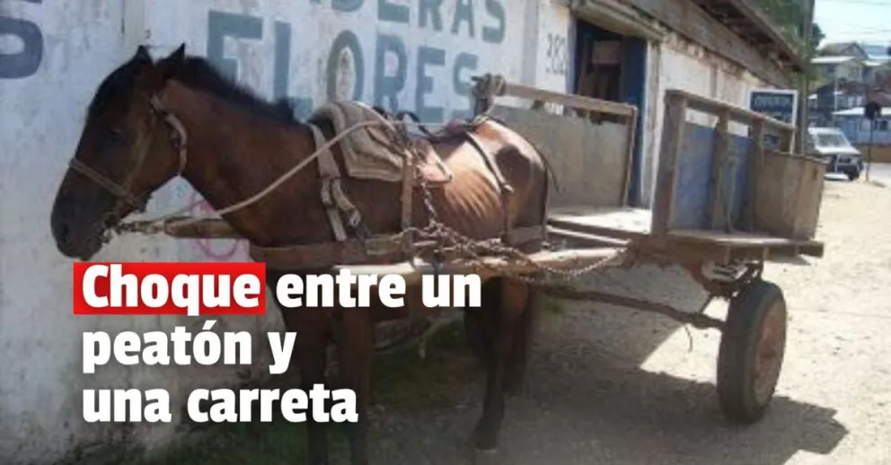 Madre e hija tuvieron que ser hospitalizadas por ser atropelladas por una carreta