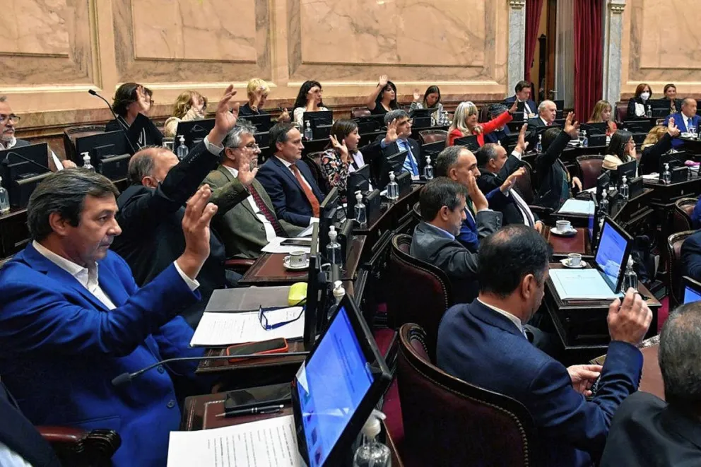 El Senado debate la creación de un Fondo para pagarle al FMI con dólares fugados