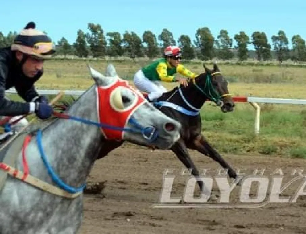 Pudo ser una tragedia: una joven saltó a la pista del hipódromo a festejar y la atropelló un caballo