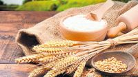 El fideicomiso que pretende estabilizar el valor del trigo y harina fue rechazado