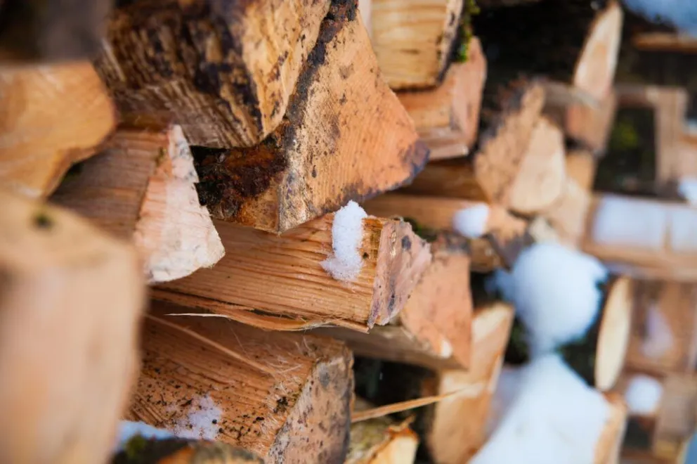 Ya está disponible la inscripción al Plan Calor Municipal leña