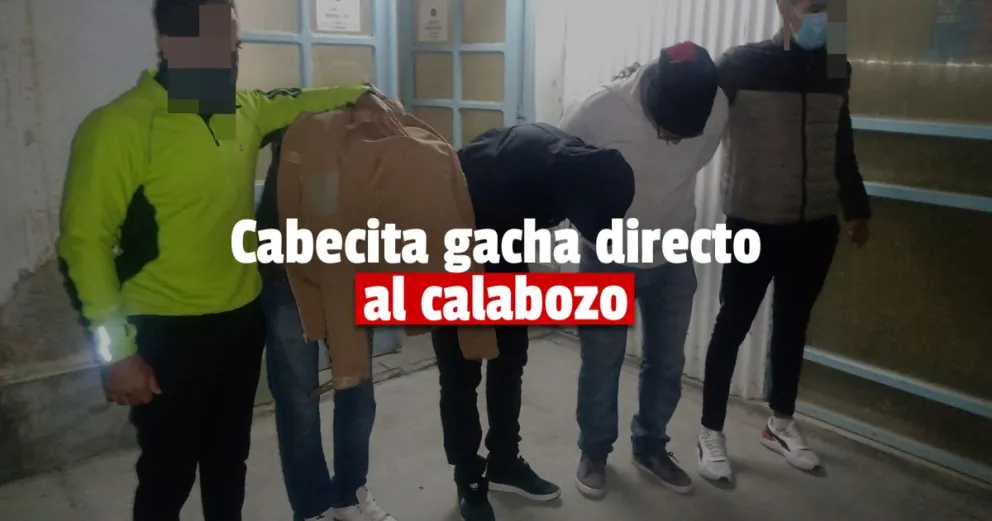 Detuvieron a un grupo de ladrones “revienta-casas” 