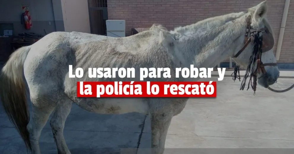 Un ladrón robó una batería y fue detenido en el barrio San Justo
