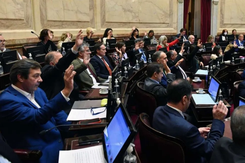 El oficialismo logró aprobar en el Senado la creación de un fondo para pagarle al FMI con dólares fugados