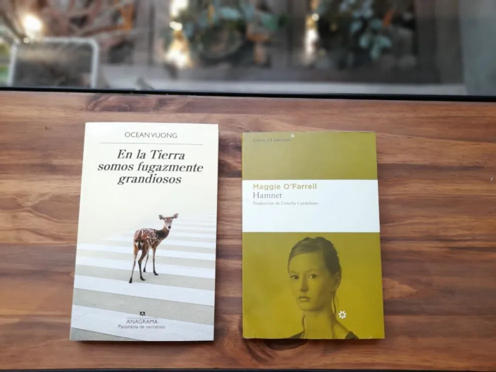 Los recomendados de librería Hexámetro