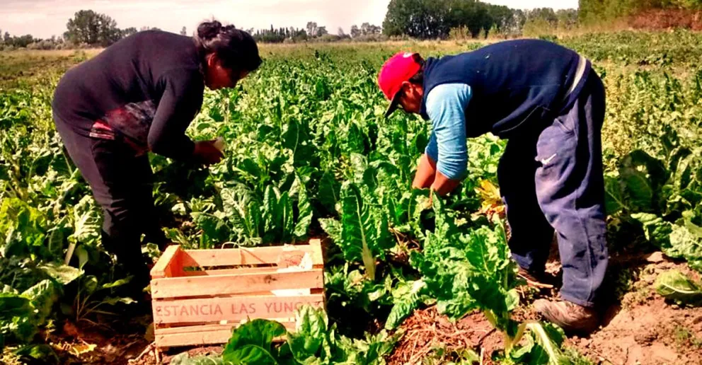 La Provincia apoya y fomenta la producción sin el uso de agroquímicos