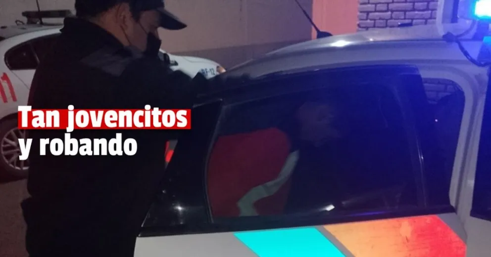 Asaltaron a mano armada y terminaron detenidos