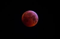 eclipse de luna de sangre