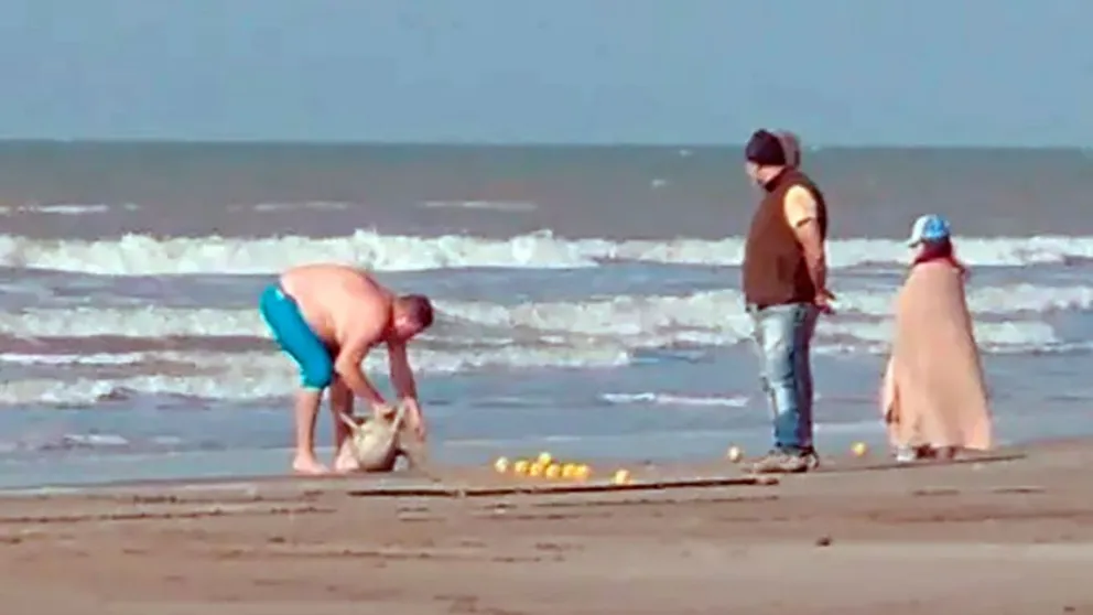 "No me lo llevé como un trofeo": habló el hombre que pescó un delfín en peligro de extinción
