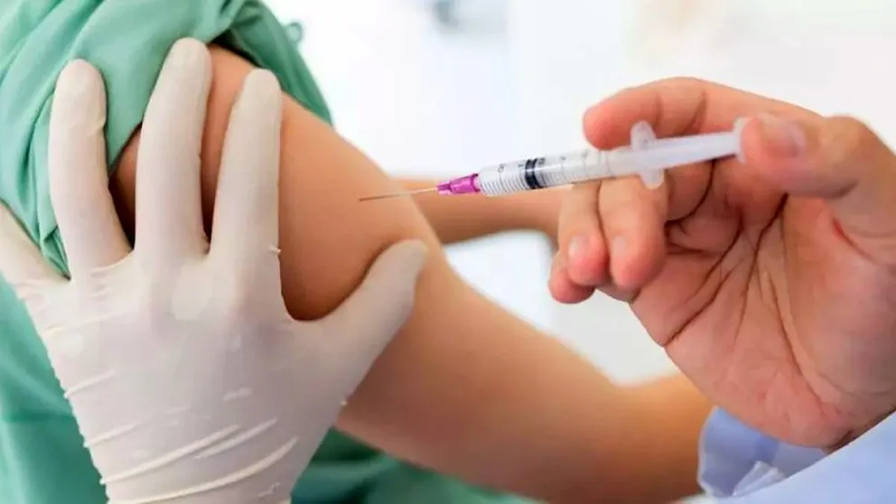 Hoy lanzan la campaña de vacunación antigripal en Salta: quiénes y dónde deben vacunarse 