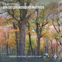Se celebra el Día de los Bosques Nativos