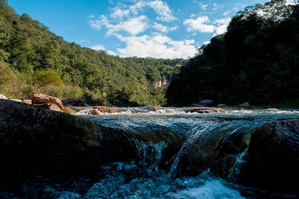 General Pizarro: finca sospechada por un aberrante hecho contra una reserva nacional