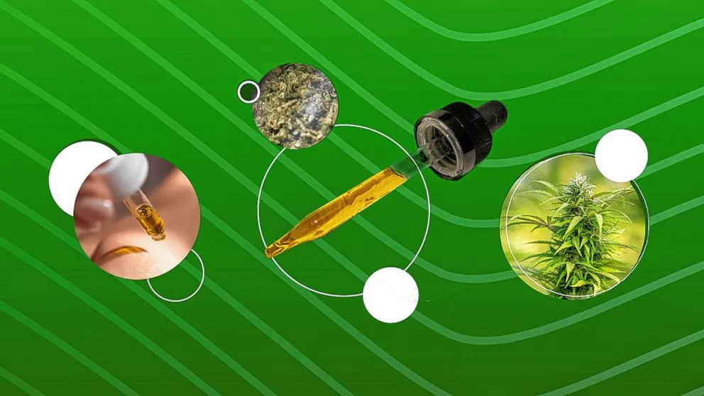 “Dimos un paso histórico para que en Argentina el cannabis medicinal sea de calidad, legal y accesible” _