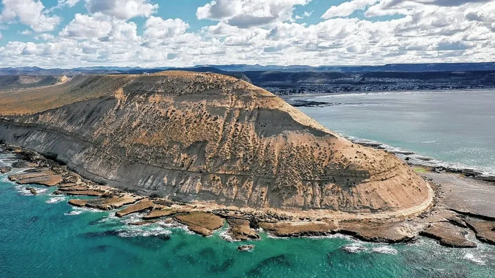 Lanzamiento de la guía “cetáceos del Golfo San Jorge”