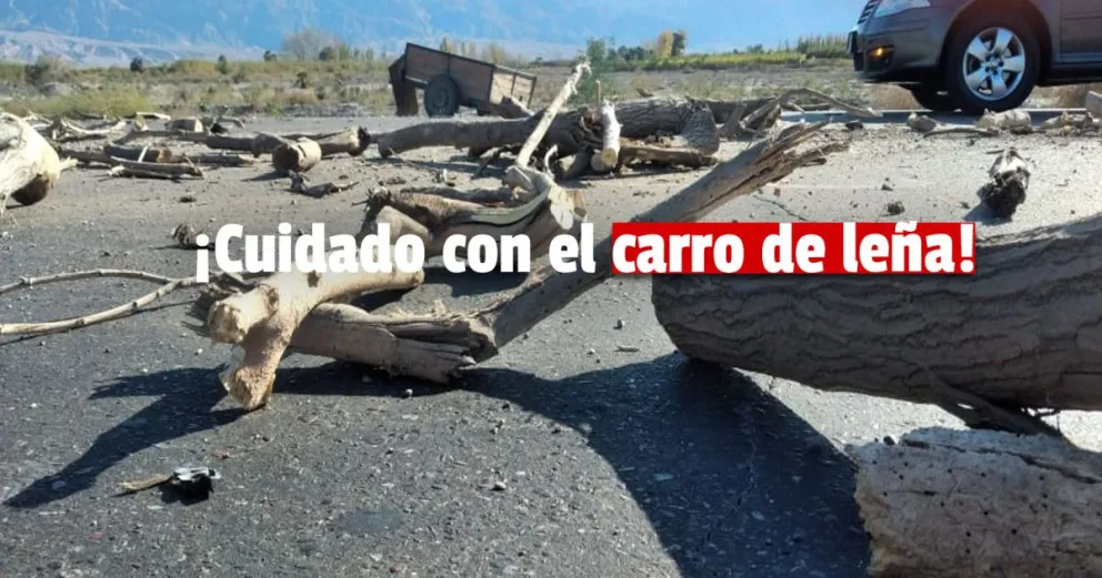 Un auto chocó contra un árbol por esquivar un carro con leña
