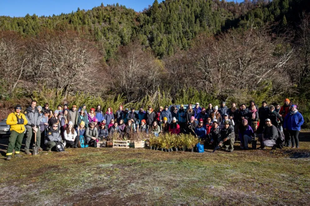 Después del fuego, la esperanza: plantaron miles de especies nativas en el Cañadón de la Mosca