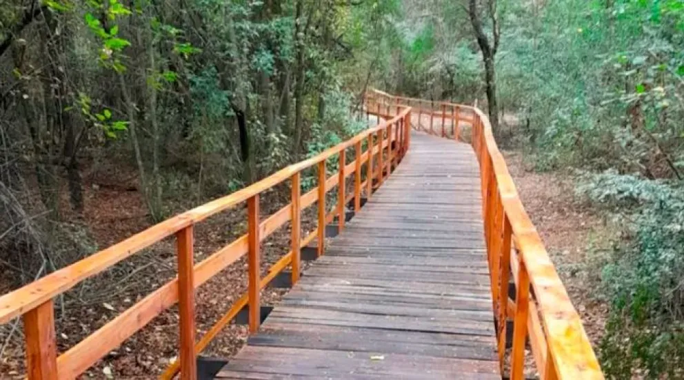 90° Aniversario: se inaugura hoy el circuito Selva Triste