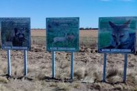 Para preservar la fauna silvestre, instalaron carteles de concientización en rutas