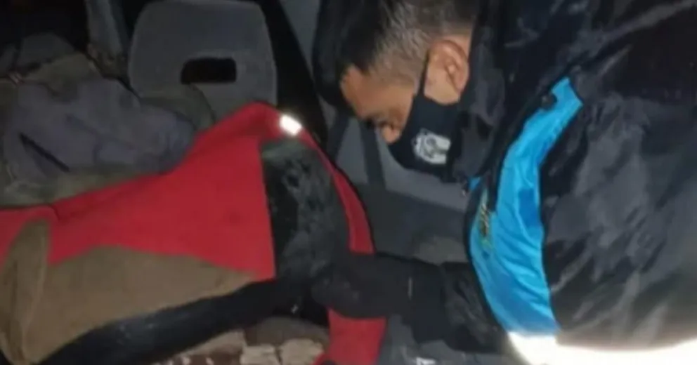 Un hombre transportaba ocho guanacos faenados y un arma
