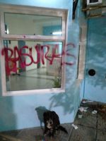 Identificaron al colectivo “Irreverentas” como el causante del vandalismo en Las Grutas 