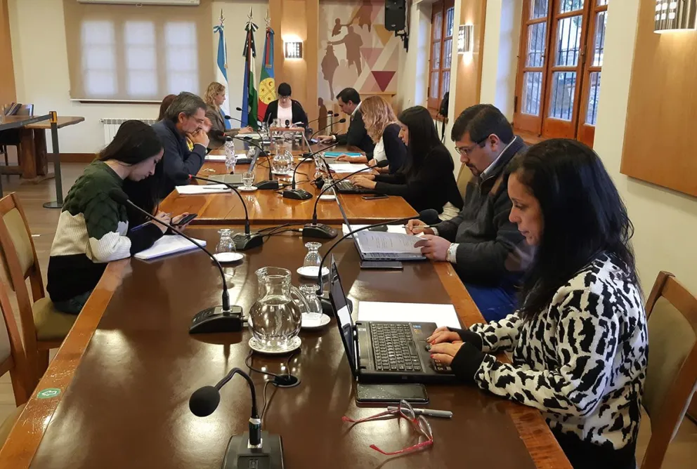 Dictaminaron el proyecto sobre eliminación de bolsas de polietileno en comercios