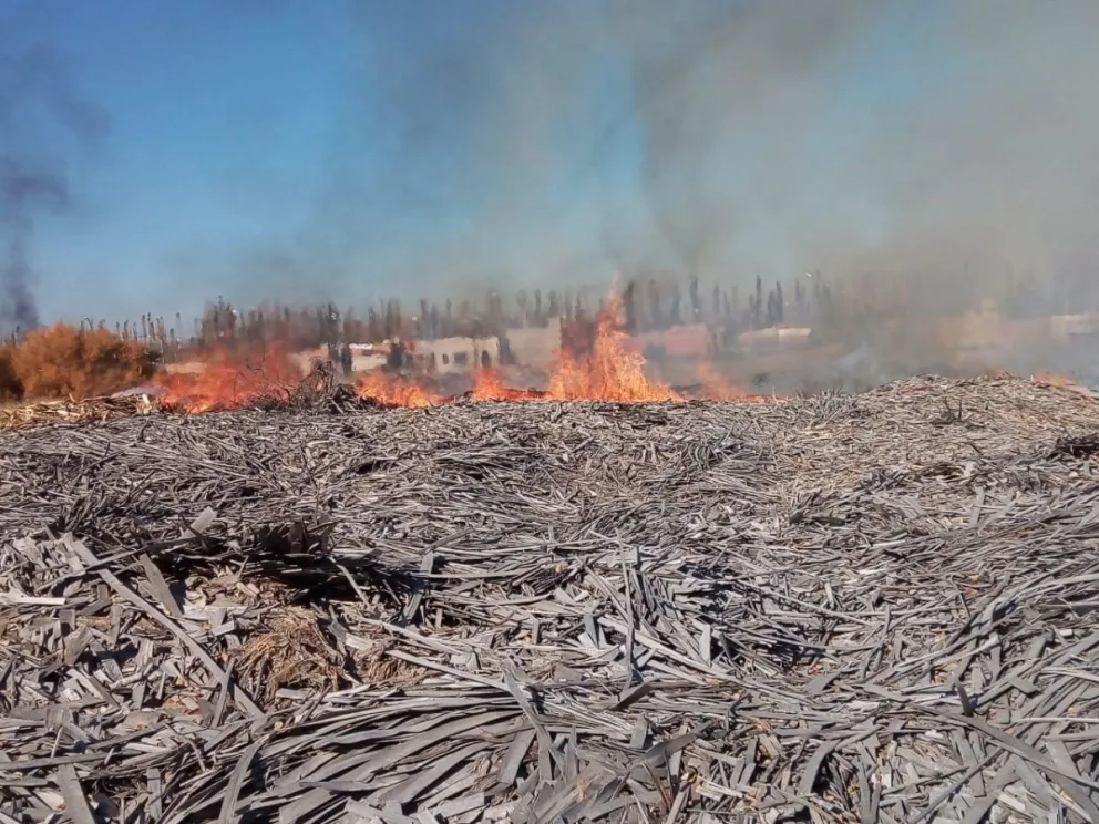 Video: denuncian varios intentos de incendio en el aserradero de la Cooperativa 1° de Mayo  