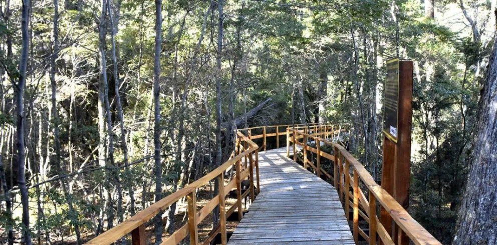 90 Aniversario: Se inauguró el nuevo sendero Selva Triste y el primer Ecopunto