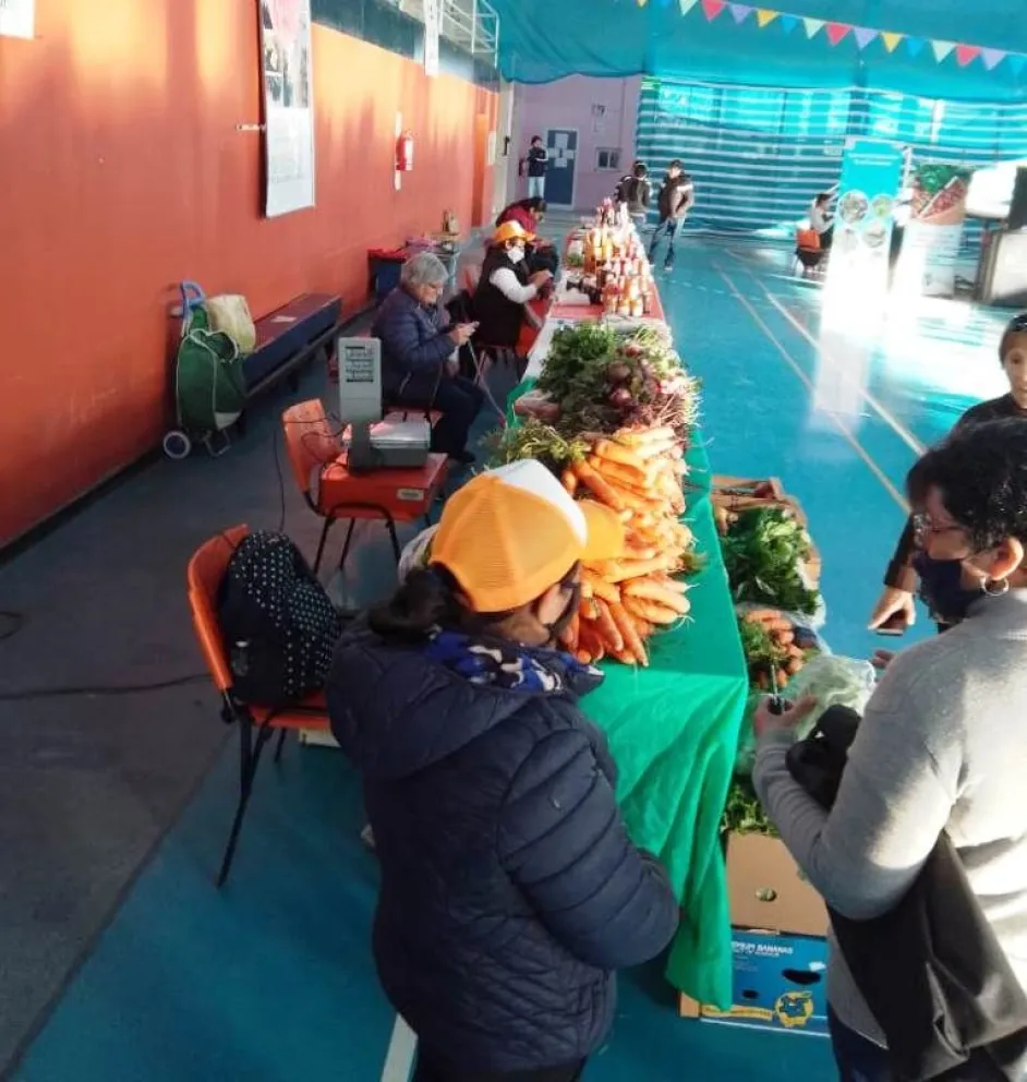 Provincia participó de una nueva edición de la Feria de Agricultura Familiar en Sarmiento