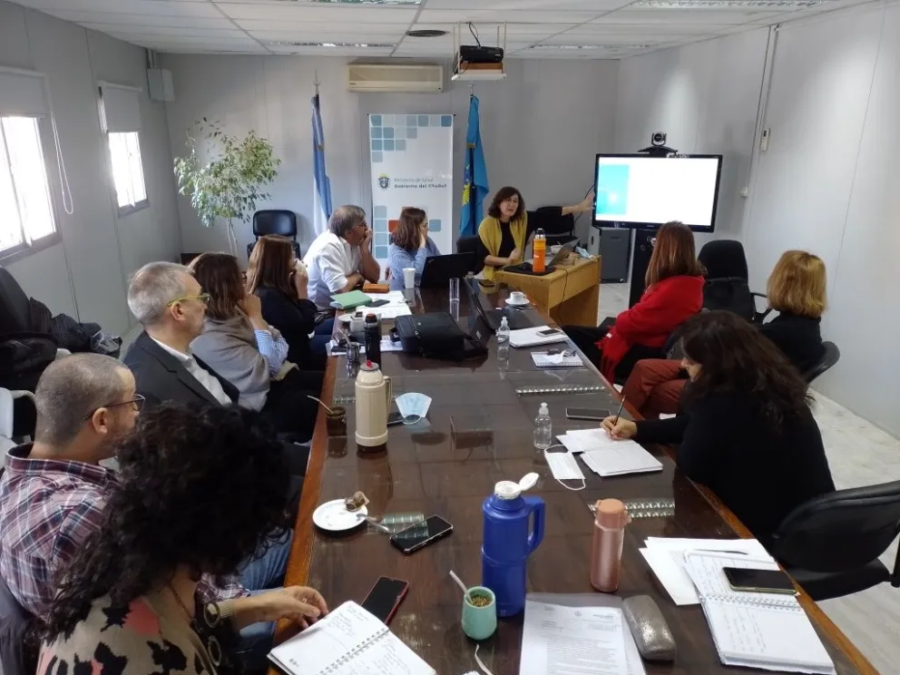 Chubut presentó la estrategia para eliminar la transmisión maternoinfantil de las infecciones por VIH y Sífilis