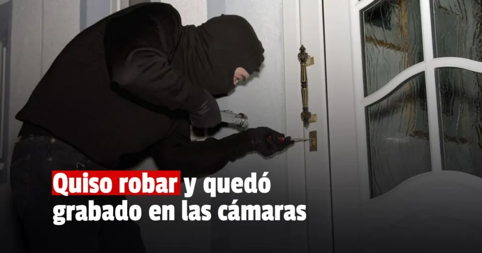 Atraparon a un ladrón gracias a las cámaras de seguridad
