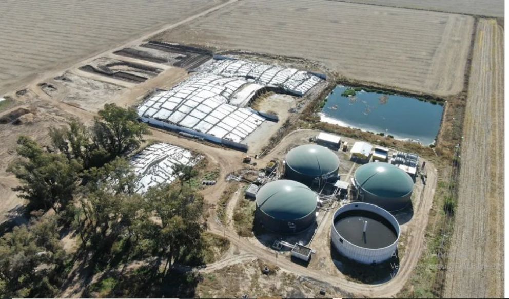 Tienen un campo de 1000 hectáreas y abastecen de electricidad a dos pueblos gracias a una innovación