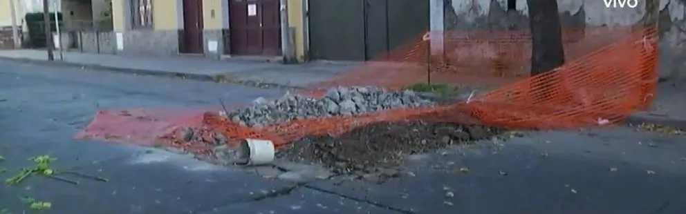Cuidado: un árbol caído y un bache hacen imposible transitar por una calle salteña