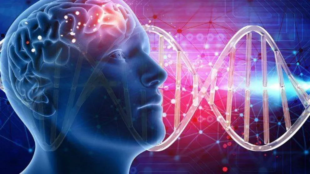 La ciencia asegura que una mutación genética es la responsable de la inteligencia en las personas 
